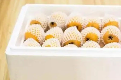 枇杷泡沫包装